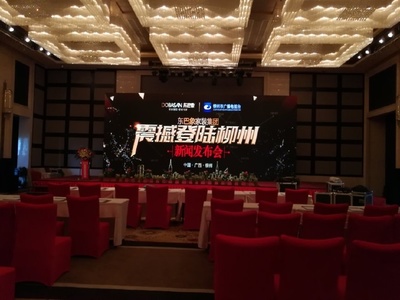 東巴象家裝集團柳州新聞發布會成功舉辦，引領家居定制新篇章
